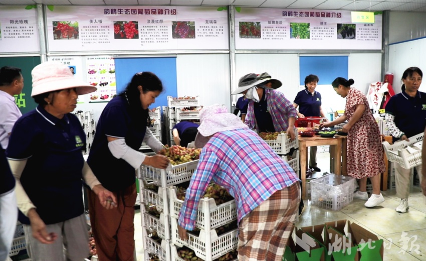 平博网站是什么